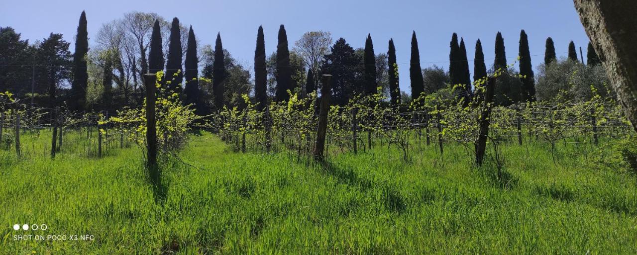 Fattoria Il Milione Agriturismo Florenz Exterior foto