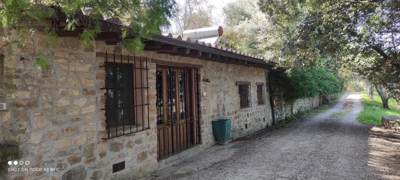 Fattoria Il Milione Agriturismo Florenz Exterior foto
