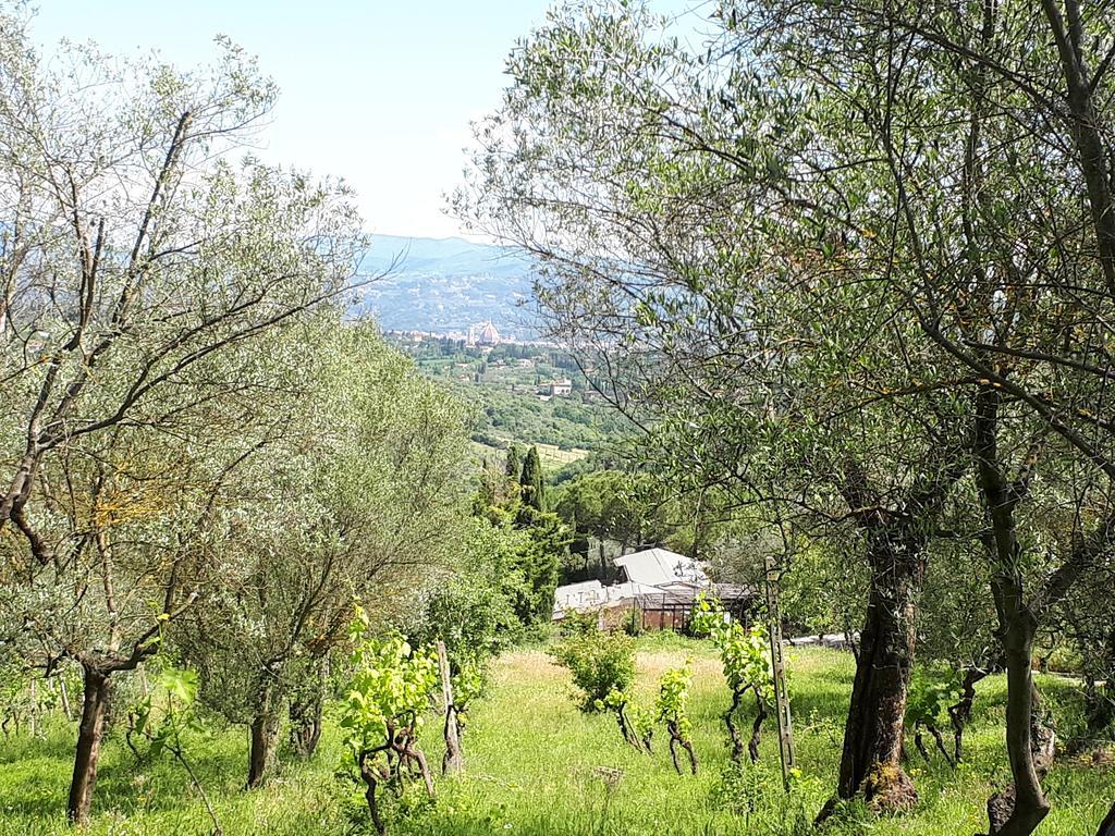 Fattoria Il Milione Agriturismo Florenz Exterior foto